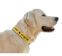 Dingo Waldemar Rutkowski Material - Handmade, Adjustable, Recycled Material, Black/Yellow with “DO NOT PET” Warning Text for Safer Dog Walks, Size L (15362)