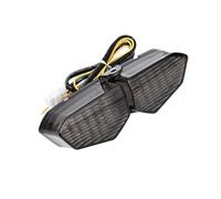 DINGYIG For YZF For R6 For YZF For R6 2003-2005 For YZF For R6S 2006-2008 LED Tail Light Turn Indicator Lamp Rear Brake Stop Light Taillights Tail Light(Style 1 color-01)