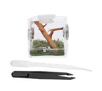 DINHEAROM 1 Set Transparent Breeding Box for Jumping Spider Compact Reptile Container with Ventilation Easy Observation Practical Design for Home Pet Care