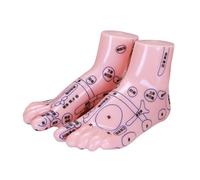 DINHEAROM 1pair Reflexology Foot Training Models for Education Acupuncture Point Simulation for Clinics and Schools Realistic Massage Practice Tool
