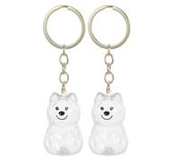 DINHEAROM 2pcs Dog Hair Keepsake Box Abs Memorial Keepsake with Keychain Pendant, Versatile Use for Pet Owners to Store Ashes and Hair, Pet Remembrance Ornament for Dog Lovers
