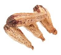 DINHEAROM 4pcs Parrot Foraging Bird Chew Fun Companion Mental Health Natural Fruit Unique Shape Workmanship Daily Lives Small Birds Pet