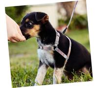 DINHEAROM Adjustable Pet Leash with Ergonomic Design Comfortable Harness for Small Dogs for Outdoor Walks and Training Attractive Gradient Color Easy Control