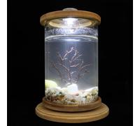 DINHEAROM Creative Phyllostachys Pubescens and Glass Material Fish Bowl with Ecological Design Desktop Suitable for Indoors and Outdoors, for Bedroom or Office Decoration