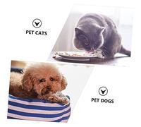 DINHEAROM Heart Shaped Food Grade Silicone Pet Feeding Mat Dog Placemat with Skid Base for Safe Clean and Convenient Daily Use
