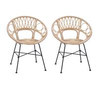 Dining Chair 2 pcs Rattan and Iron Round Modern Seating Home Furniture vidaXL