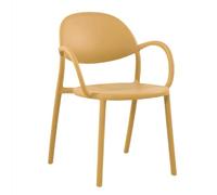 Dining Chairs Set of 2, Plastic Backrest with Armrests, Stackable for Space Saving, Ideal for Kitchen, Living Room, Balcony, and Cafe