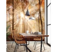 Dining Room Orange Wallpaper Mural 10.2x7.2 ft golden dawn forest Kitchen Decor
