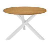 Dining Table 120cm MDF Round Home Dinner Stand Furniture White/Grey vidaXL