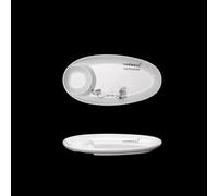 Dinner plate Creativity Irregular Shape Melamine Dinner Plate Commercial Barbecue Picnic Plates Cake Dishes Serving Tray Kitchen Tableware(E)