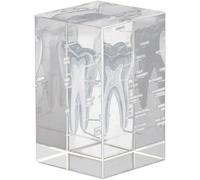 Dinntty 3d Crystal Human Tooth Model - Cubic Etched Anatomical Tooth Model for Home and Office Decoration Dentists Gifts