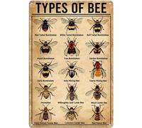 Dinntty Type of Bee Metal Tin Sign Bee Knowledge Wall Sign Retro Nostalgic Art Poster for Restaurant Cafe Bar Decoration