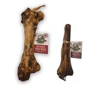 Dino Bone and Metatarsus Dog Chew