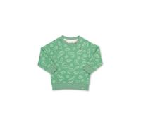 Dino Earth Sweatshirt Kite Green 5 Years