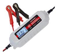Dino KRAFTPAKET Dinosaur Power Pack 6 V/12 V/4 A Battery Charger with Tester. IP65 for Vehicle Car Motorrard Quad ATV Boat