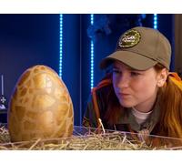 Dino Rangers Unleashed: Smores, Super Secrets, and Lava Leaps