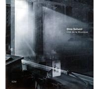 Dino Saluci - Site de la Musique
