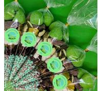 Dino Themed pre filled Sweet Cones optional custom stickers by eventabox - Dinosaur Dino fun party favours Childrens Party