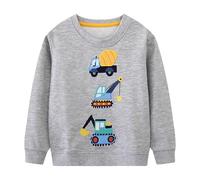 Dinopjs Children's Boys Pullover Sweatshirt Cute Long Sleeve Cotton Dinosaur Cartoon Jurassic Planets Digger Crane Dump Truck Tractor Winter & Spring Christmas Warm Tops 2-7 Years, Grey (grey 2), 122