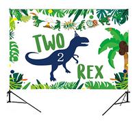 Dinosaur 2nd Birthday Party Backdrop - Two Rex Decorations for Boys, Party Supplies for 2 Year Old
