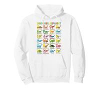 Dinosaur Alphabet ABCs Colorful Educational Kids Prehistoric Pullover Hoodie