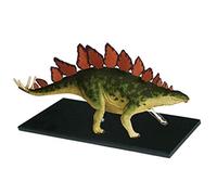 Dinosaur Anatomy Mode Detachable39 Parts Animal Anatomical Model Stegosaurus Anatomical Teaching Model for 3D, Models