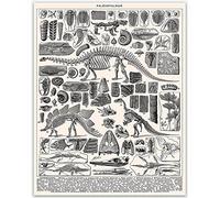 Dinosaur Bone Poster - Posters for Room Aesthetic of Dinosaur Skeleton Illustration | Wall Art for Boys Room, Class Room, Bathroom, Apartment And Bedroom Home Dinosaur Room Decor (30cm x 40cm)