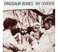 Dinosaur Bones - My Divider (LP) [VINYL]