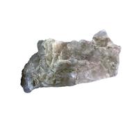 Dinosaur Coprolite (Fossilized Poop) - Genuine Prehistoric Specimen for Science Education or Collectors