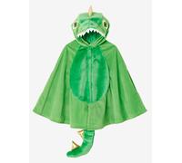 Dinosaur Costume green