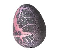 Dinosaur Eggs Hatch in Water Kids Novelty Toy Science Kits