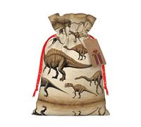 Dinosaur Fossils03 Print Christmas Drawstring Holiday Candy Bag Xmas Sacks Reusable Wrapping Bags Party Favor
