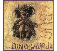 Dinosaur Jr 'Bug' LP Black Vinyl