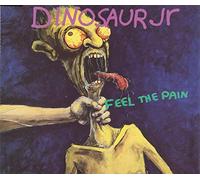Dinosaur Jr. - Feel the Pain