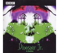 Dinosaur Jr. - In Session
