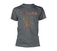 Dinosaur Jr T Shirt Bug Logo Official Mens Charcoal L