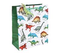 Dinosaur Large White Gift Bag - 33cm Paper Bag with Green Rope Handles & Dino-Shaped Tag for Kids Birthday or Party