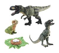 Dinosaur Life Cycle, 4 Pieces Dinosaur Life Cycle Animal Model Figures, Biology Science Animals Model Toy Animal Figures Cognitive Toy for Children Educational Toys