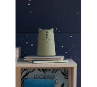 Dinosaur night light sage green