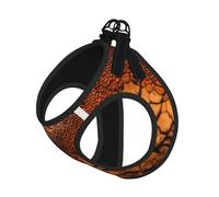 Dinosaur Pattern Print Dog Harness Adjustable Walk Puppy Harnesses Leash Clips Pet Harnesses Training Pet Vest