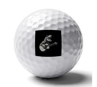 Dinosaur Playing Guitar Custom Golf Ball Soft Practice Golf Balls Performance Distance And Speed for Indoor Outdoor