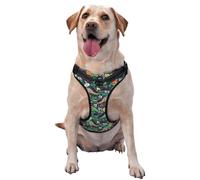 Dinosaur Plays Soccer Pattern Dog Harness - Lightweight,Soft,Adjustable Small Harness and Leash Set, Suitable for Puppy Small and Medium-Sized Dog-Large