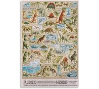 Dinosaur Poster Evolution Science for Kidsstyle Metal Tin Sign Wall Art Decor Home Bedroom Living Room Kitchen Garage Bar Cafe Office Vintage Rustic Decorative Plaque 8x12inch