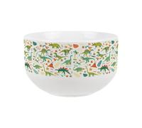 Dinosaur Print Ceramic Bowl - Large Cereal Bowl Novelty Dinnerware