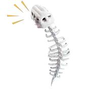 Dinosaur Skeleton Costume - Dinosaur Skull Headpiece and Spine for Halloween Cosplay,Cosplay Outfit for Halloween Role Play Gatherings Holiday Celebrations Themed Events
