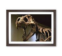 Dinosaur Skeleton T Rex Framed Print | A2 Walnut Framed Wall Art | Ready to Hang | Modern Nature Picture | Living Room Bedroom Lounge Office