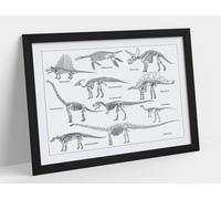 Dinosaur Skeletons Chart Paleontology Stunning Framed Wall Art Print Picture - A3 - Black Frame