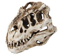 Dinosaur Skull Model, Dinosaur Skull Sculpture, dinosaurs skeletons, Resin Dinosaurs Skulls Personality Animal Skeleton Ornaments Props Halloween Collection Craft Decor