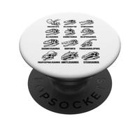 Dinosaur Skull Types Paleontology Fossil Anatomy Chart PopSockets Adhesive PopGrip