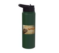 Dinosaur T-Rex Evolution Creationism God Darwin Stainless Steel Insulated Water Bottle